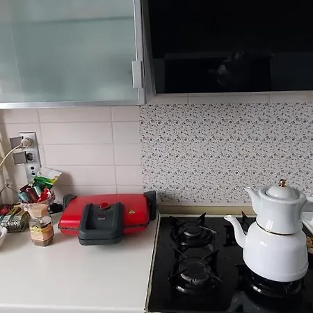 Beylikduzu Huzurlu Aile Yasam Sitesi Ful Donanimli Ev איסטמבול